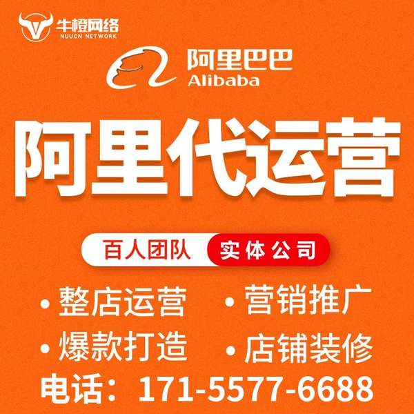 嘉兴电商代运营