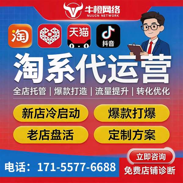 嘉兴电商代运营