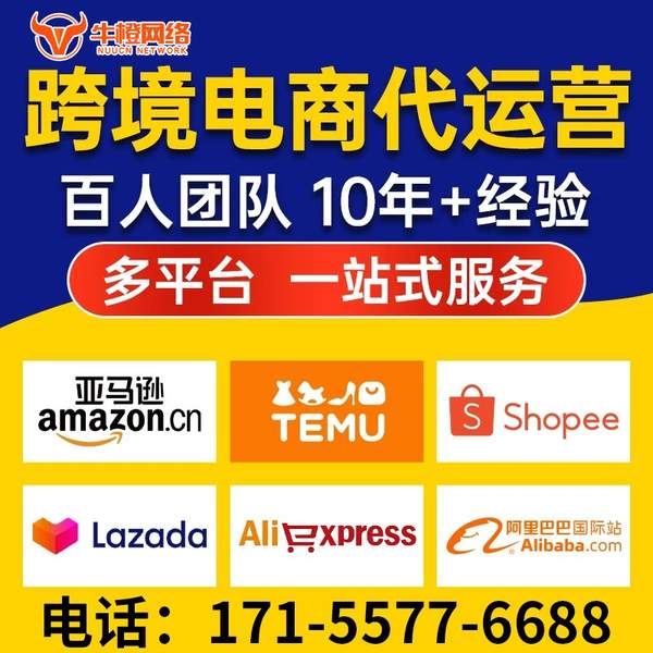 嘉兴电商代运营