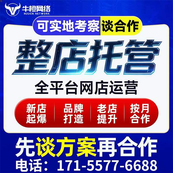 嘉兴电商代运营