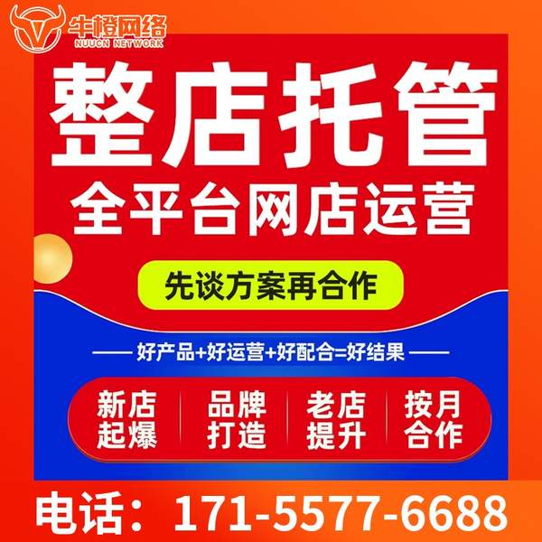 嘉兴电商代运营