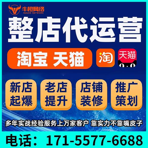 嘉兴电商代运营