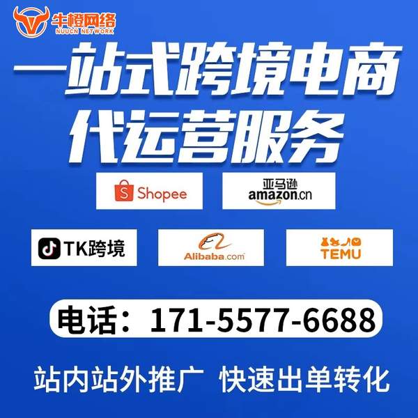 嘉兴电商代运营