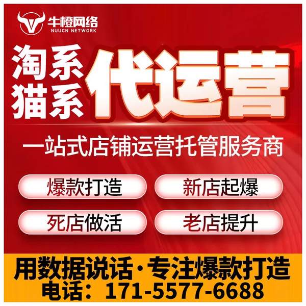 嘉兴电商代运营